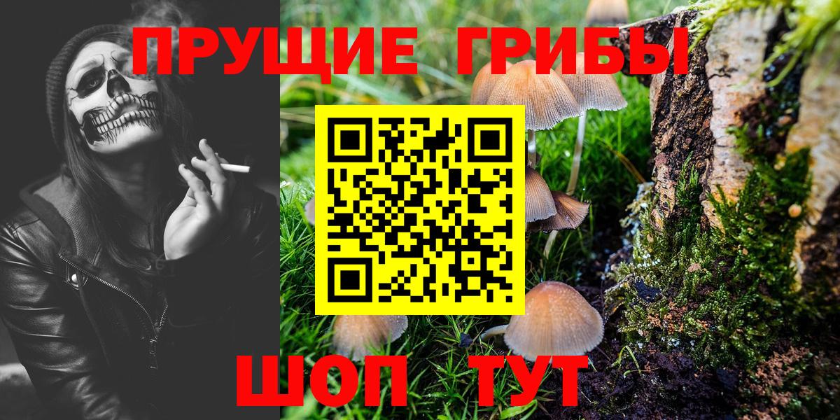 Псилоцибиновые грибы мухоморы  Вход с VPN  Холмск 