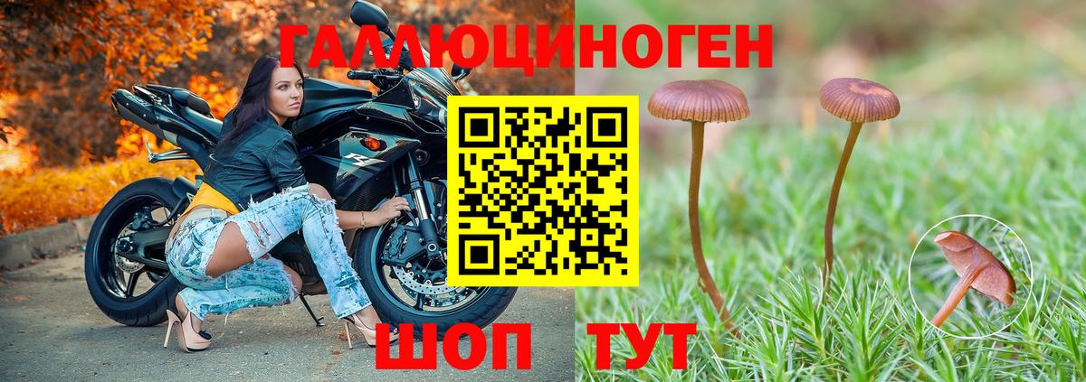 Псилоцибиновые грибы GOLDEN TEACHER Холмск
